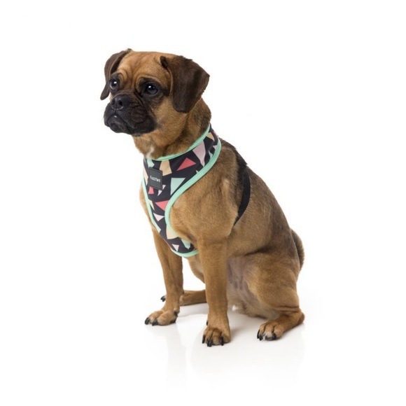 🆕FuzzYard Rad Dog Harness | Large|Charcoal with Pink, Orange and Teal Triangles - Picture 2 of 7